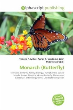 Monarch (Butterfly)