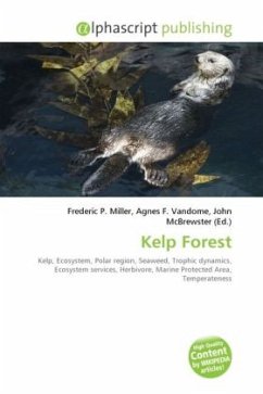 Kelp Forest