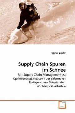 Supply Chain Spuren im Schnee - Ziegler, Thomas