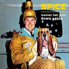Never let you down again - Spice