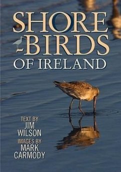 Shorebirds of Ireland - Wilson, Jim