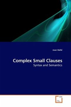 Complex Small Clauses - Rafel, Joan