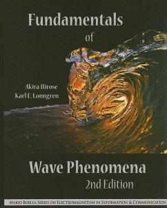 Fundamentals of Wave Phenomena - Hirose, Akira; Lonngren, Karl E