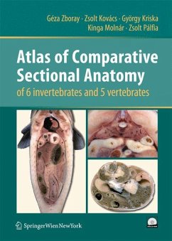 Atlas of Comparative Sectional Anatomy of 6 invertebrates and 5 vertebrates - Zboray, Géza;Kovács, Zsolt;Kriska, György