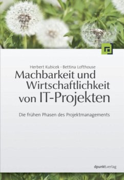 Machbarkeit und Wirtschaftlichkeit von IT-Projekten - Kubicek, Herbert; Lofthouse, Bettina