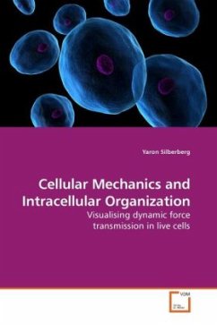 Cellular Mechanics and Intracellular Organization - Silberberg, Yaron