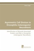 Asymmetric Cell Division in Drosophila melanogaster Neuroblasts