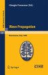 Wave Propagation - Bild 1
