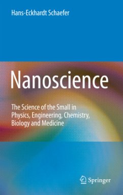 Nanoscience - Schaefer, Hans-Eckhardt