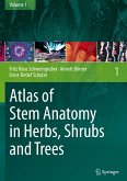 Atlas of Stem Anatomy in Herbs, Shrubs and Trees
