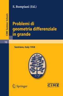 Problemi di geometria differenziale in grande