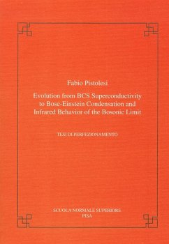 Evolution from BCS Super-Conductivity to Bose-Einstein Condensation and Infrared Behavior of the Bosonic Limit - Pistolesi, Fabio