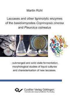Laccases and other ligninolytic enzymes of the basidiomycetes Coprinopsis cinerea and Pleurotus ostreatus. - submerged and solid state fermentation, morphological studies of liquid cultures and characterisation of new laccases - Rühl, Martin