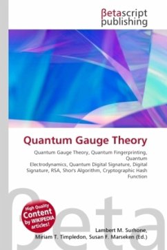 Quantum Gauge Theory