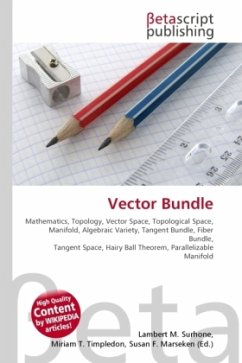 Vector Bundle