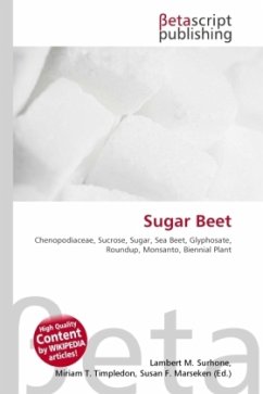 Sugar Beet