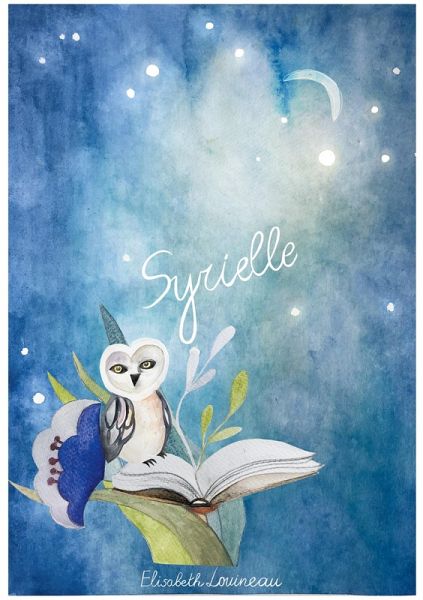 The Light Voyager The Light Voyager