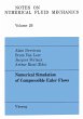 Numerical Simulation of Compressible... - Bild 1