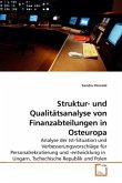 Struktur- und Qualitätsanalyse von Finanzabteilungen in Osteuropa