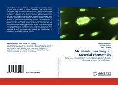 Multiscale modeling of bacterial chemotaxis