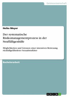 Der systematische Risikomanagementprozess in der Straffälligenhilfe - Meyer, Heike