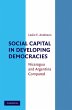 Social Capital in Developing Democracies - Bild 1