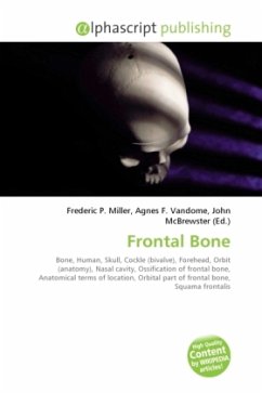 Frontal Bone