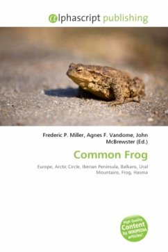 Common Frog