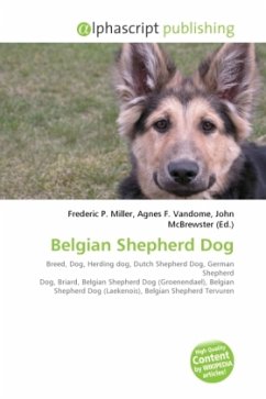 Belgian Shepherd Dog