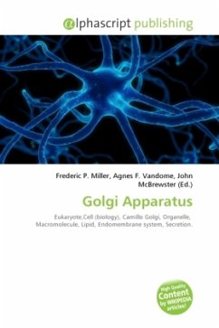 Golgi Apparatus