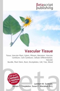 Vascular Tissue