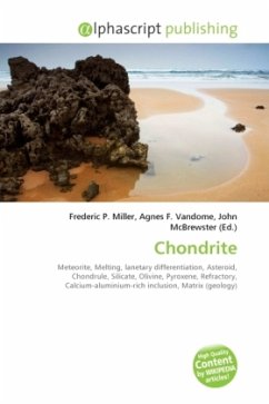 Chondrite