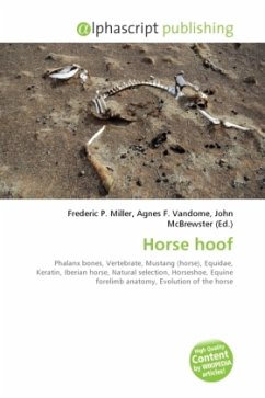 Horse hoof
