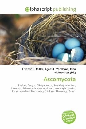 Ascomycota