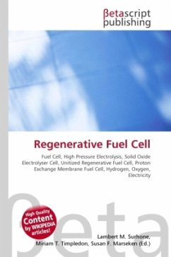 Regenerative Fuel Cell