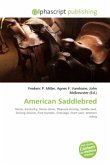 American Saddlebred