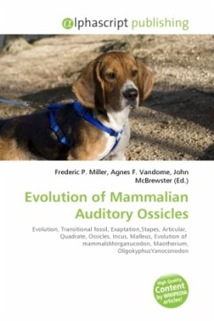 Evolution of Mammalian Auditory Ossicles