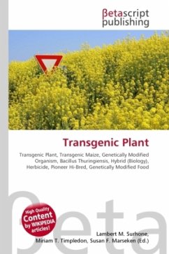 Transgenic Plant