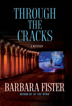 Through the Cracks - Fister, Barbara