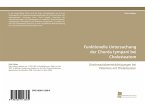 Funktionelle Untersuchung der Chorda tympani bei Cholesteatom