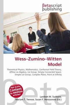 Wess Zumino Witten Model