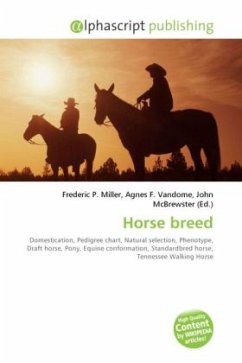 Horse breed