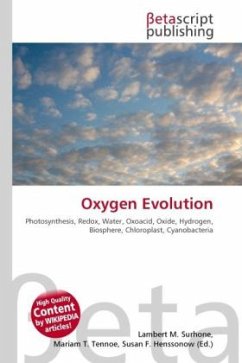 Oxygen Evolution