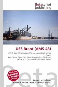 USS Brant (AMS-43)
