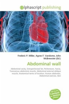 Abdominal wall