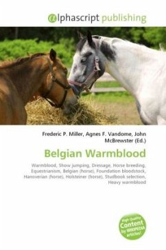 Belgian Warmblood