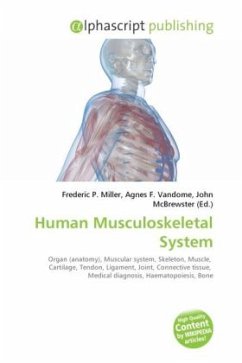 Human Musculoskeletal System