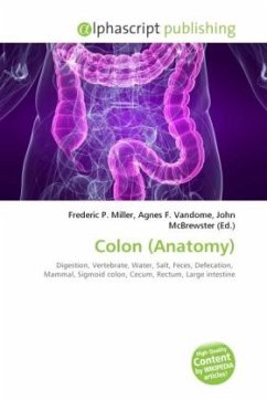 Colon (Anatomy)