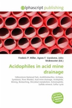 Acidophiles in acid mine drainage