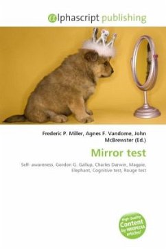 Mirror test